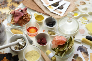 BiojaÌaÌtmed-loomingulises-kasutuses-Siplane